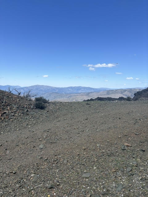 Mt St. John Repeater 8